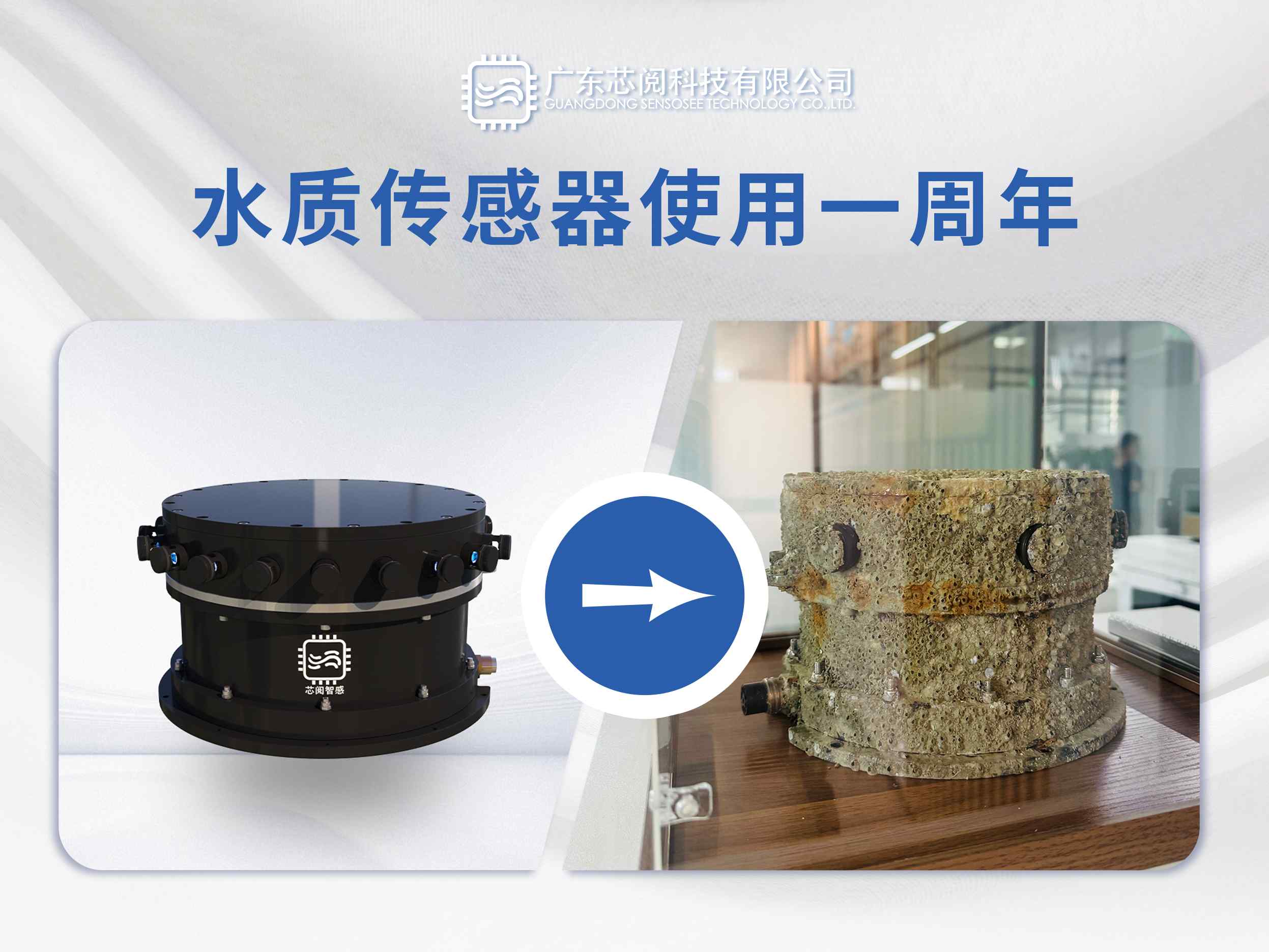 海试一周年：水下“洞察者”捞出的成果与启示